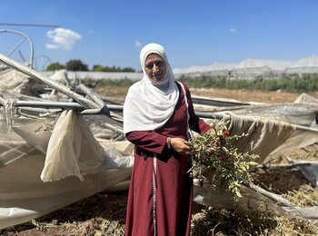 Sima Abu Ismail, a farmer from Tulkarm, holding tomatoes from her destroyed greenhouse, the sole source of livelihood of her family, a day after it was demolished by Israeli authorities. “I relied on this income to pay for my sons‘ studies,” she told us. Photo by OCHA