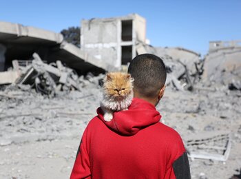Intense hostilities continue in Gaza, resulting in casualties, displacement and devastation. Photo by UNRWA