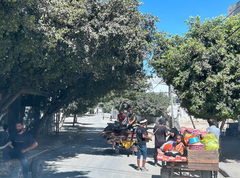 More Palestinian families fleeing west towards Deir al Balah following another Israeli evacuation order on 16 August. Photo: OCHA