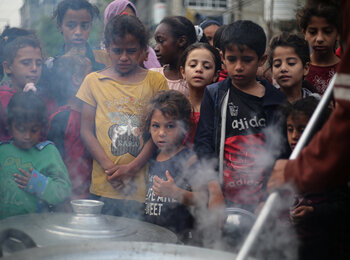 تحذّر المديرة التنفيذية لبرنامج الأغذية العالمي، سيندي ماكين، من أن «السكان في غزة يتضورون جوعًا حتى الموت الآن،» حيث يتوقع أن يواجه شخص من كل اثنين مستويات كارثية من انعدام الأمن الغذائي. تصوير اليونيسف/البابا