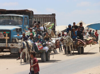 Many Palestinian families fleeing from Madinat Hamad in Khan Younis following an Israeli evacuation order on 11 August. Photo: Themba Linden/OCHA 