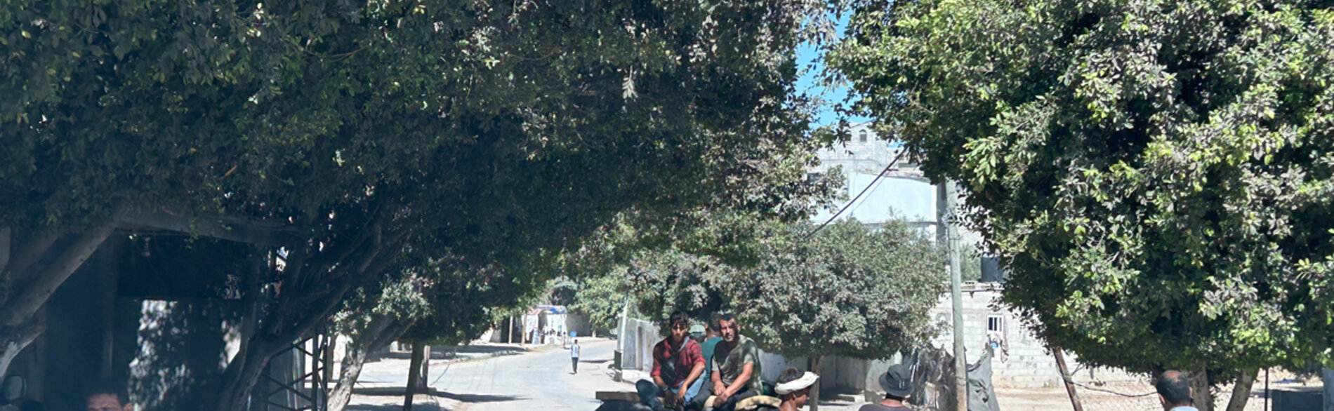 More Palestinian families fleeing west towards Deir al Balah following another Israeli evacuation order on 16 August. Photo: OCHA