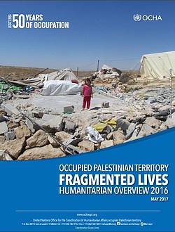 Occupied Palestinian Territory (OPT)