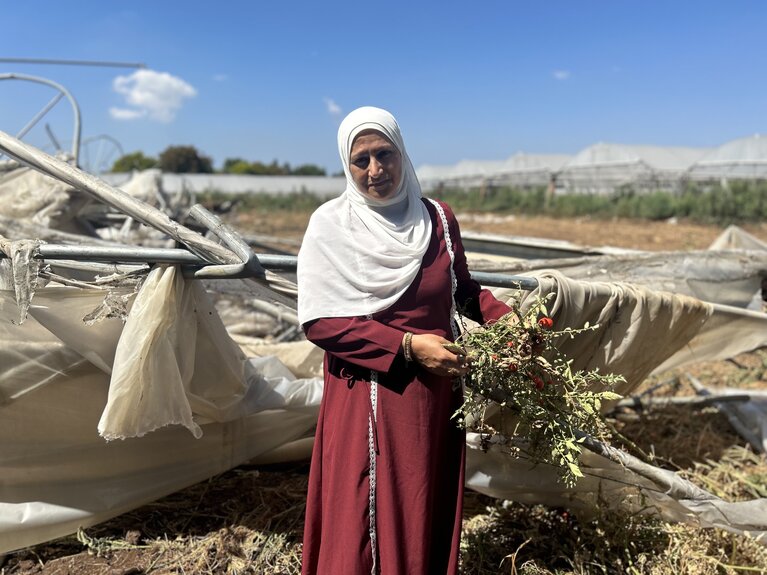 Sima Abu Ismail, a farmer from Tulkarm, holding tomatoes from her destroyed greenhouse, the sole source of livelihood of her family, a day after it was demolished by Israeli authorities. “I relied on this income to pay for my sons‘ studies,” she told us. Photo by OCHA